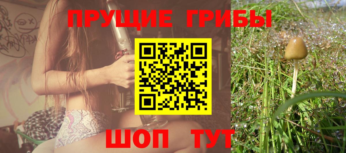 Мыски  Псилоцибиновые грибы GOLDEN TEACHER  Вход с VPN 