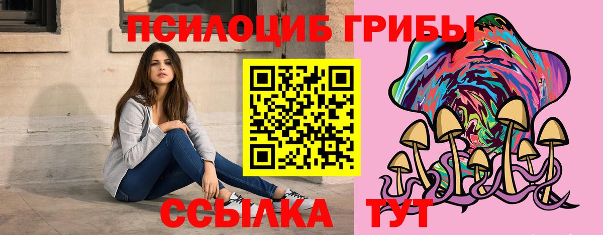 Псилоцибиновые грибы мицелий Мыски
